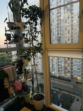 
  Продается 2-комн. квартира, 50 м², Стабильная ул, д. 3
. Фото 21.