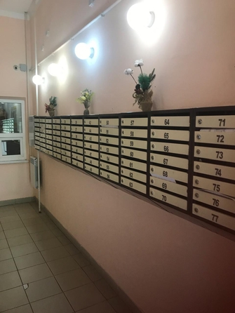 
  Продается 1-комн. квартира, 47 м², Ленина пр-кт, д. 243
. Фото 18.