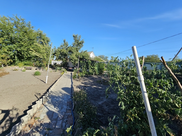 
  Продается дача, 25 м², хутор Рогожкино
. Фото 6.