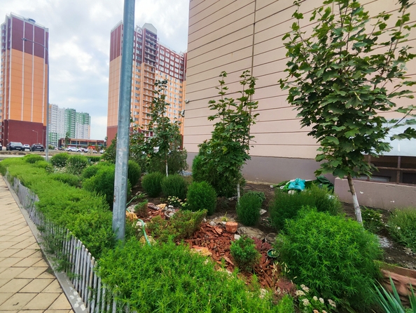 
  Продается 1-комн. квартира, 39 м², Еляна ул, д. 54
. Фото 22.