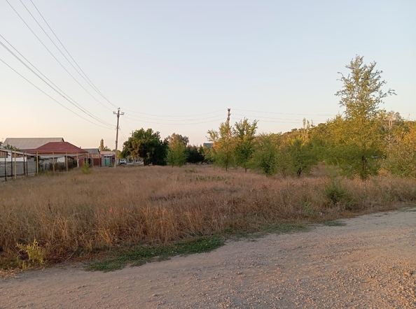 
  Продается земельный участок, 17 соток, село Кулешовка
. Фото 2.