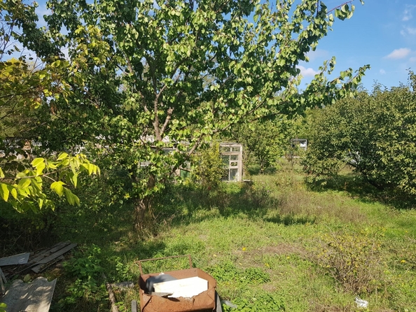 
  Продается дом, 51 м², станица Ольгинская
. Фото 5.