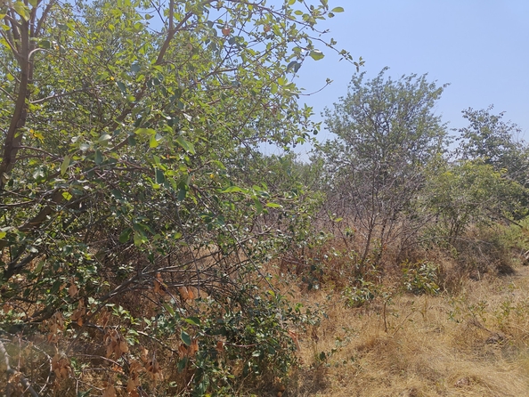 
  Продается земельный участок, 14 соток, село Синявское
. Фото 23.