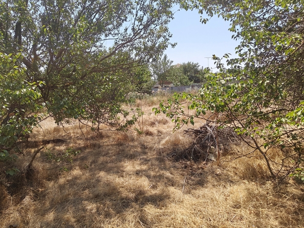 
  Продается земельный участок, 14 соток, село Синявское
. Фото 26.