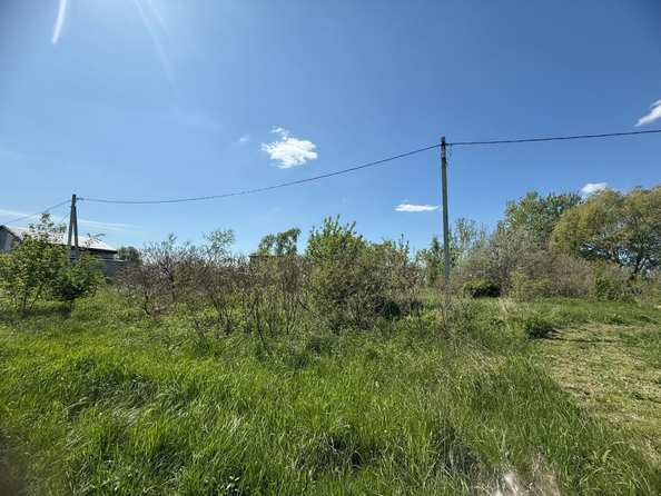 
  Продается земельный участок, 7.5 соток, хутор Рогожкино
. Фото 4.