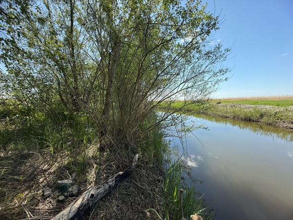 
  Продается земельный участок, 7.5 соток, хутор Рогожкино
. Фото 8.