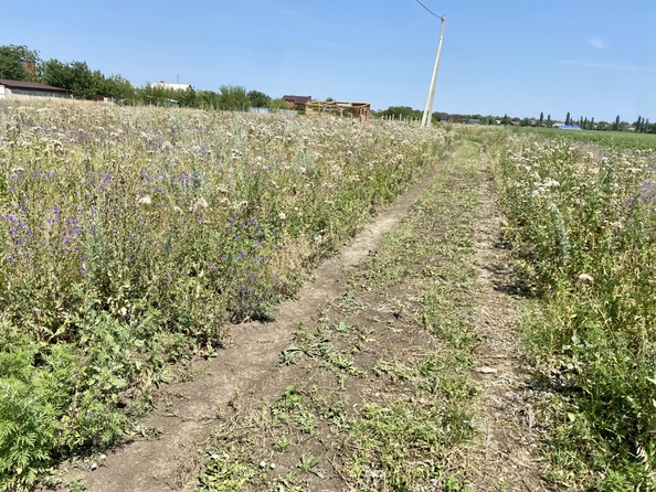 
  Продается земельный участок, 4.12 сотки, поселок Мокрый Батай
. Фото 5.