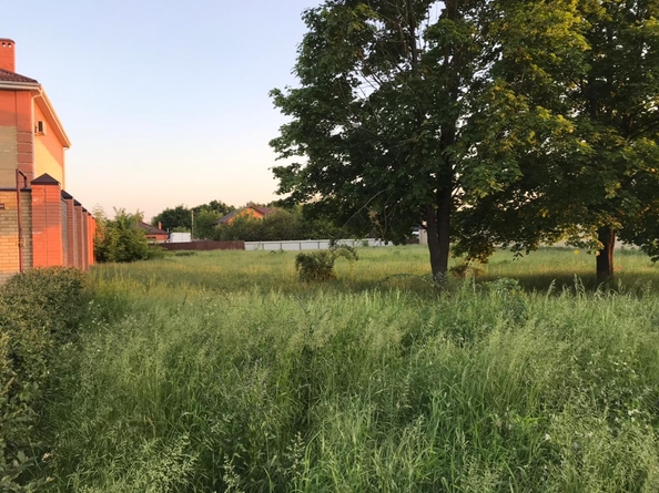 
  Продается земельный участок, 20 соток, поселок Рассвет
. Фото 2.