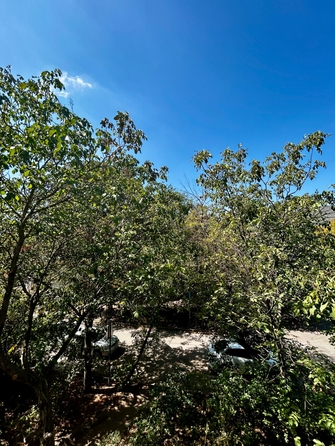 
  Продается 3-комн. квартира, 48 м², Каширская ул, д. 18/2
. Фото 15.