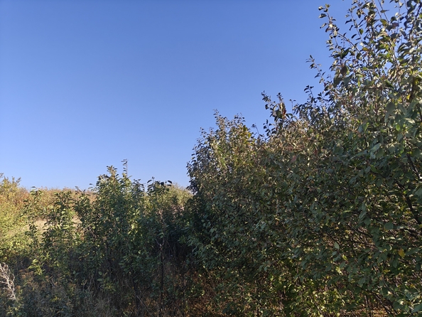 
  Продается земельный участок, 6 соток, поселок Темерницкий
. Фото 3.