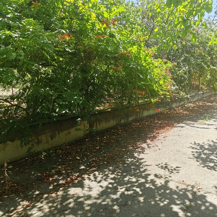 
  Продается земельный участок, 5.5 соток, хутор Шмат
. Фото 6.