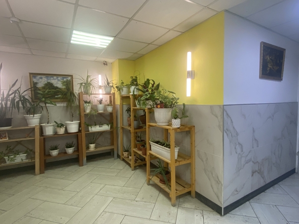 
  Продается студия, 29 м², Заводская ул, д. 25
. Фото 24.