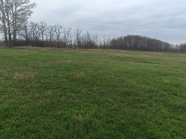 
  Продается земельный участок, 38.93 соток, хутор Кут
. Фото 1.