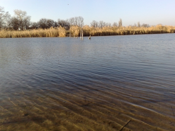 
  Продается земельный участок, 38.93 соток, хутор Кут
. Фото 13.