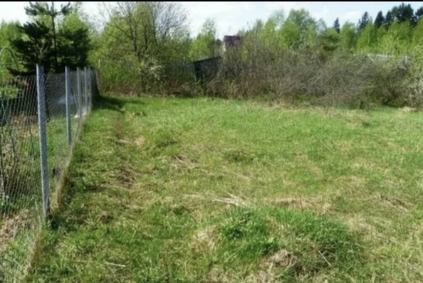 
  Продается земельный участок, 6 соток, хутор Большой Лог
. Фото 4.