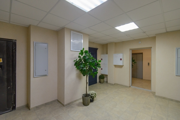 
  Продается 1-комн. квартира, 51.5 м², Нижегородская ул, д. 31/1
. Фото 1.