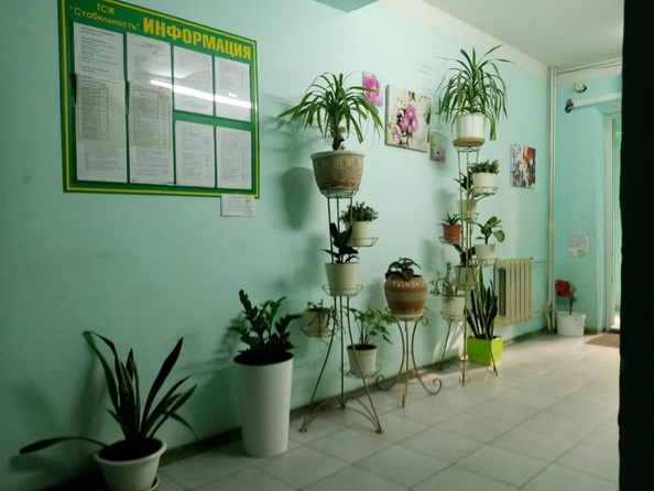 
  Продается 2-комн. квартира, 56.3 м², Стабильная ул, д. 9
. Фото 16.