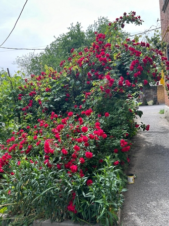 
  Продается 1-комн. квартира, 31.4 м², 1-я Краснодарская ул, д. 29
. Фото 10.