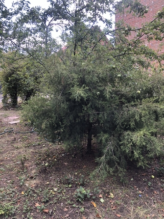 
  Продается дача, 64 м², Ростов-на-Дону
. Фото 8.