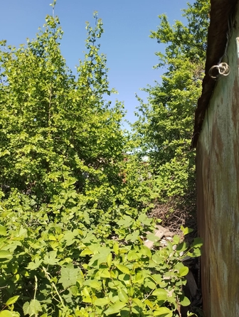 
  Продается земельный участок, 5 соток, Ростов-на-Дону
. Фото 6.