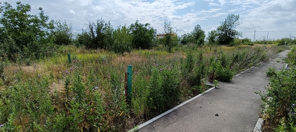 
  Продается земельный участок, 6 соток, поселок Рассвет
. Фото 4.