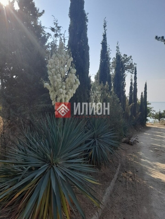 
  Продается земельный участок 11.5 соток. Фото 2.