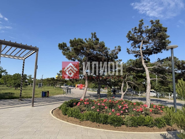
  Продается земельный участок 11 соток. Фото 17.