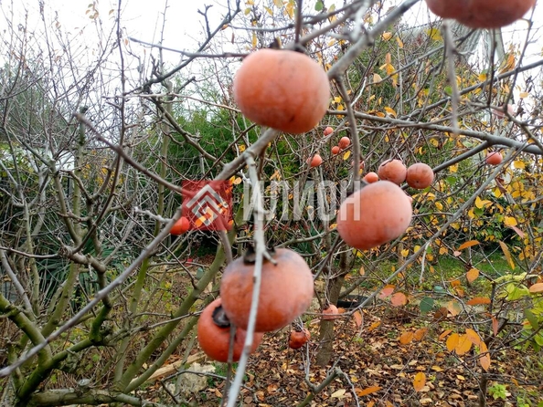 
  Продается земельный участок 4 сотки. Фото 13.