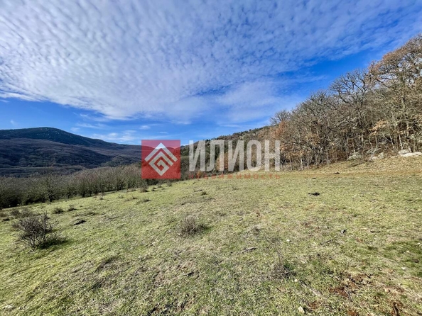 
  Продается земельный участок 780 соток. Фото 4.