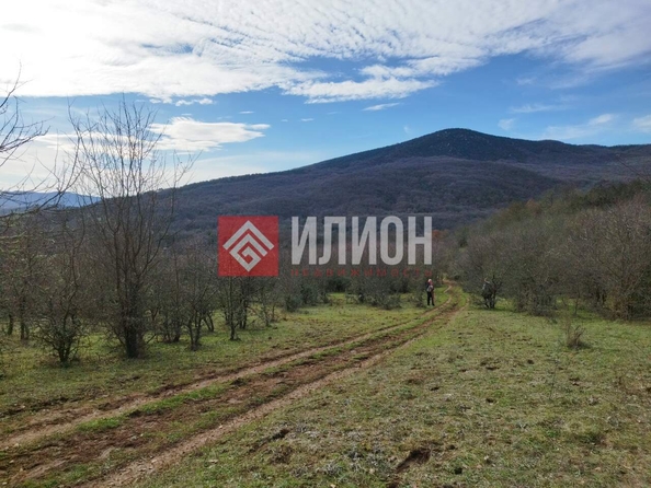 
  Продается земельный участок 780 соток. Фото 10.