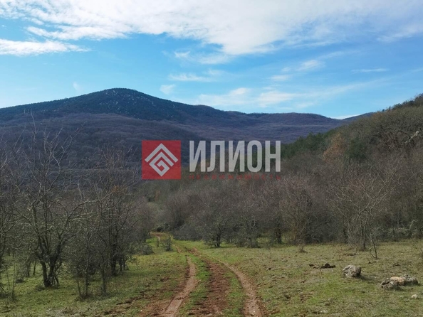 
  Продается земельный участок 780 соток. Фото 11.