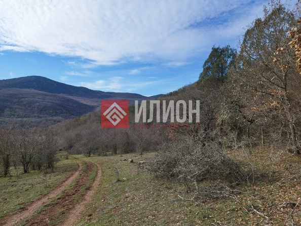 
  Продается земельный участок 780 соток. Фото 13.