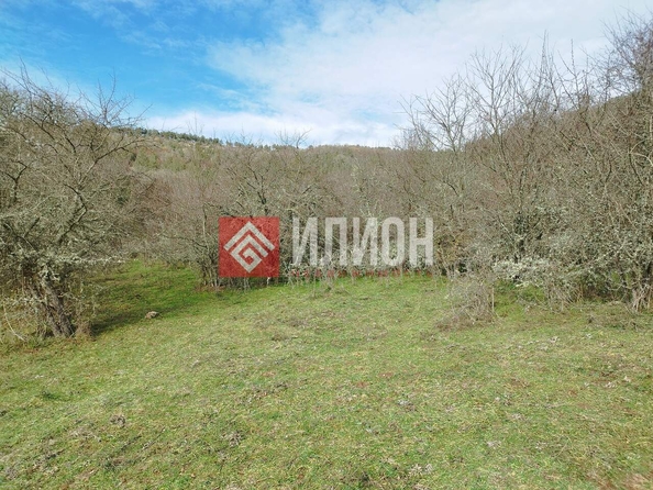 
  Продается земельный участок 780 соток. Фото 17.