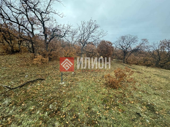
  Продается земельный участок 5 соток. Фото 2.