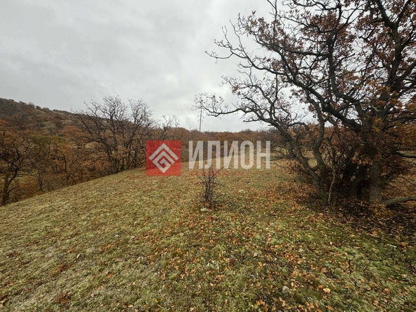 
  Продается земельный участок 5 соток. Фото 3.