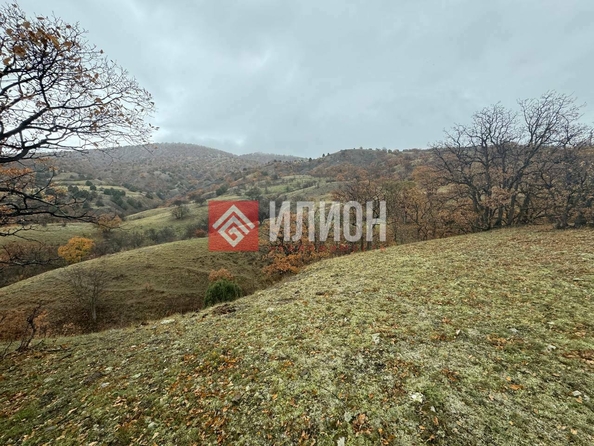 
  Продается земельный участок 5 соток. Фото 4.