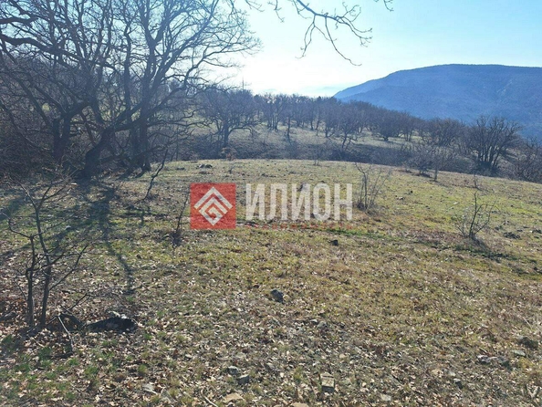 
  Продается земельный участок 5 соток. Фото 13.