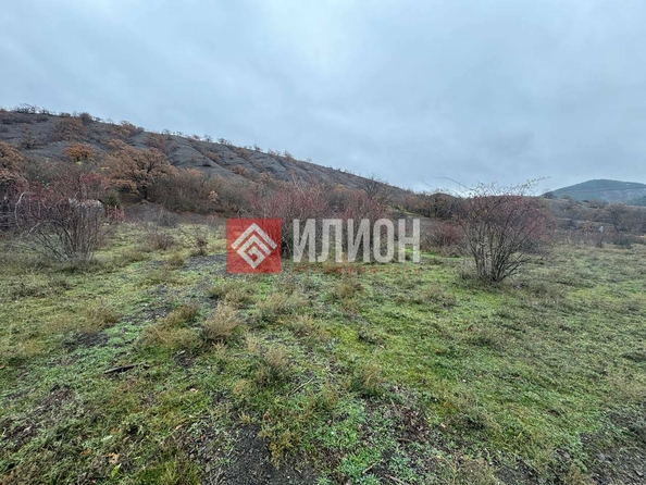 
  Продается земельный участок 8 соток. Фото 3.