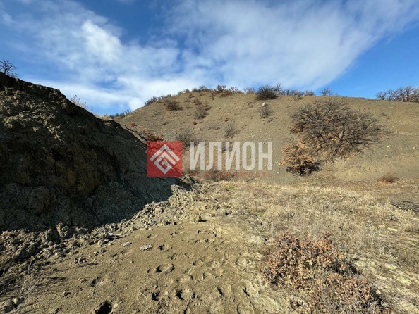 
  Продается земельный участок 4 сотки. Фото 3.