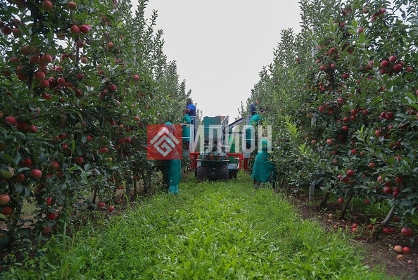 
  Продается земельный участок 10000 соток. Фото 1.