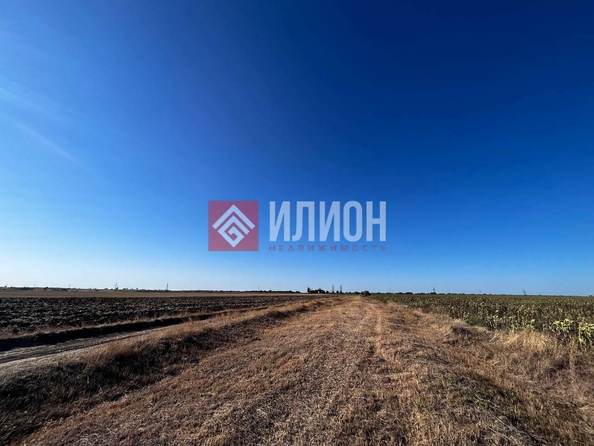
  Продается земельный участок 314 соток. Фото 3.