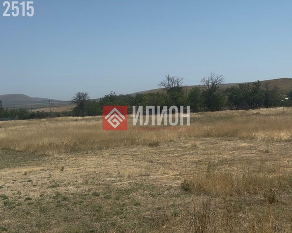 
  Продается земельный участок 98 соток. Фото 5.