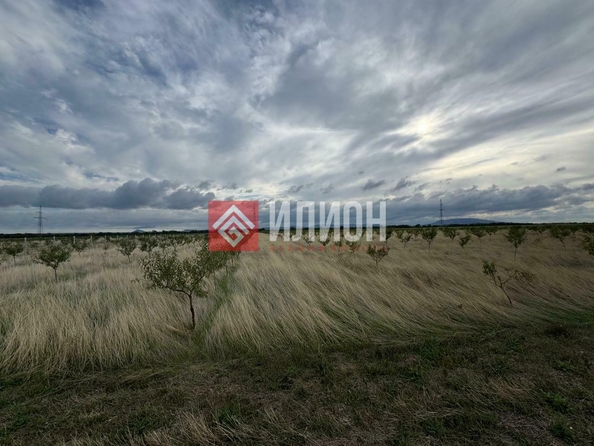 
  Продается земельный участок 400 соток. Фото 1.