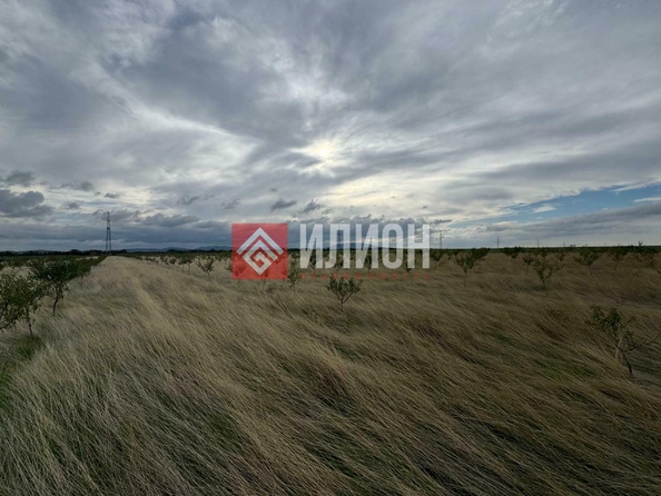 
  Продается земельный участок 400 соток. Фото 6.