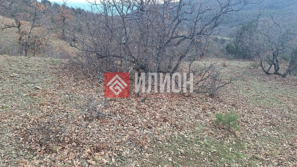 
  Продается земельный участок 5.2 соток. Фото 4.
