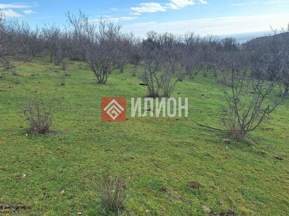 
  Продается земельный участок 5 соток. Фото 4.