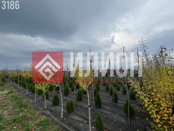 
  Продается дом 46.5 м². Фото 11.