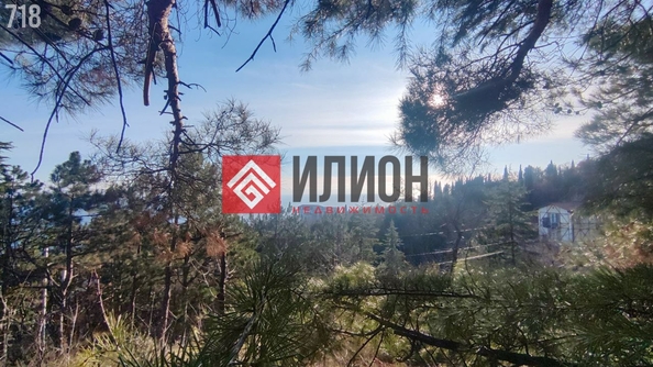 
  Продается земельный участок 19 соток. Фото 5.