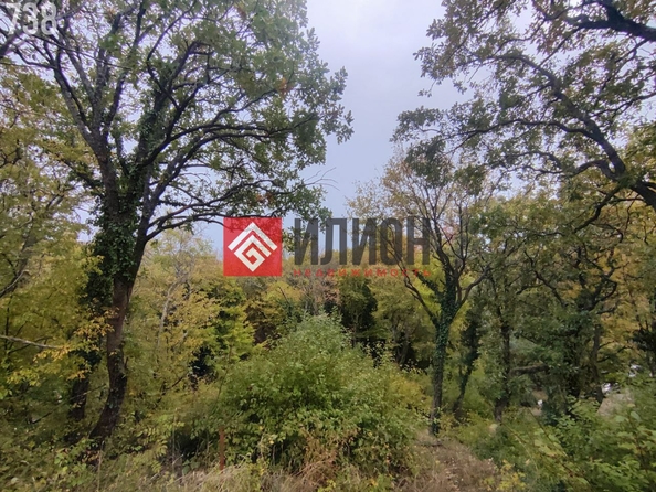 
  Продается земельный участок 4.8 сотки. Фото 3.