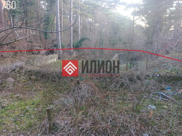 
  Продается земельный участок 12 соток. Фото 7.